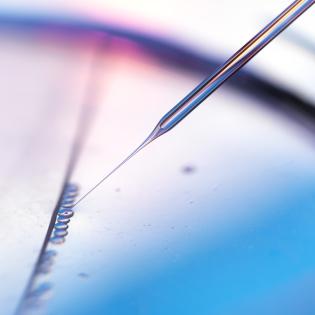 Close-up of samples pipetting in petri dish for cell experiment at laboratory
